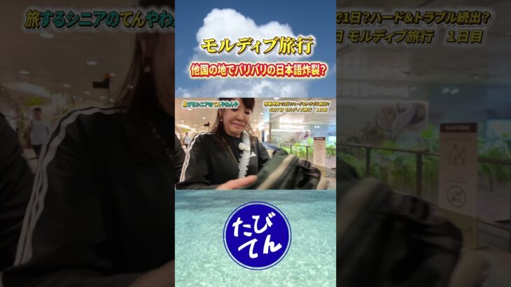 シンガポールの地でバリバリの日本語が炸裂？！チャンギ国際空港で話しかけられて…【モルディブ旅行 vol.1 】#モルディブ #旅行 #vlog #海外旅行