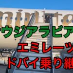 【ドバイ乗り継ぎ2時間半】個人手配主婦旅 2026/1