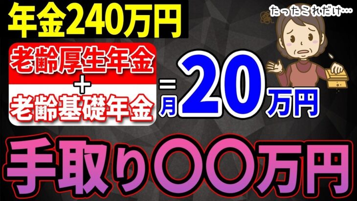 🎏【老後年金】年金月20万円の手取り額に驚愕！結局いくら振り込まれるのか？【税金 社会保険料】🎏