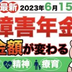 ♡【最新】2023年6月15日支給分「障害年金」支給額が変わる！？年金額〜改定ポイントまで！まるっと解説◎♡