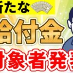 🏯【2024年8月最新】年金生活者も1人10万円！？秋に新たな給付金支給へ！🏯