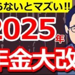 🪭【超速報】政府が重大発表！2025年の年金改正が悲惨！「全国民に影響大」で私たちの生活にどう影響する？政府の狙いとは？【国民年金⧸厚生年金】🪭