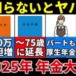 🎏【2025年】年金改正改悪案の影響を受ける人とは？🎏