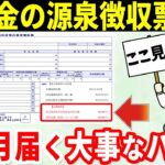 🎏【2025年最新版】年金受給者に毎年1月に届く源泉所得票の見方と必ず確認すべきポイントをわかりやすく解説🎏