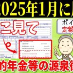 🍡【老後年金】2025年1月に日本年金機構から届く源泉徴収票！ココだけは絶対にチェックして！【定額減税⧸公的年金等の源泉徴収票】🍡