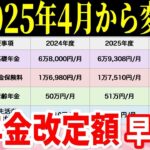 👘【2025年度4月改訂】支給額が変わる年金のポイントをまとめて解説【老齢基礎年金⧸国民年金⧸在職老齢年金⧸年金生活者支援給付金】👘