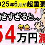 ˚⊱🪷⊰˚【2025年6月】働きすぎ要注意！年金54万円減少！？返金なし！在職老齢年金の概要と対策をわかりやすく解説˚⊱🪷⊰˚