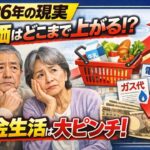 【2026年の現実】日本の物価はどこまで上がる？年金生活者が今すぐ知るべきこと