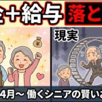 【知らないと大損】シニアが働きすぎると年金が減ります。2026年4月改正年金ルールを徹底解説【在職老齢年金】