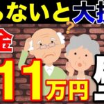 🏯【年金211万円の壁】50代以上の方必見！年金収入と住民税の関係を完全解説！​​住民税非課税世帯の対象条件！🏯