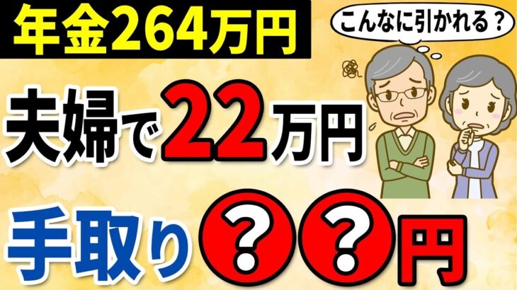 🎏【年金から天引き】夫婦で年264万円月22万円の年金手取り額がヤバイ！年金から引かれる金額について解説！【社会保険料⧸税金】🎏