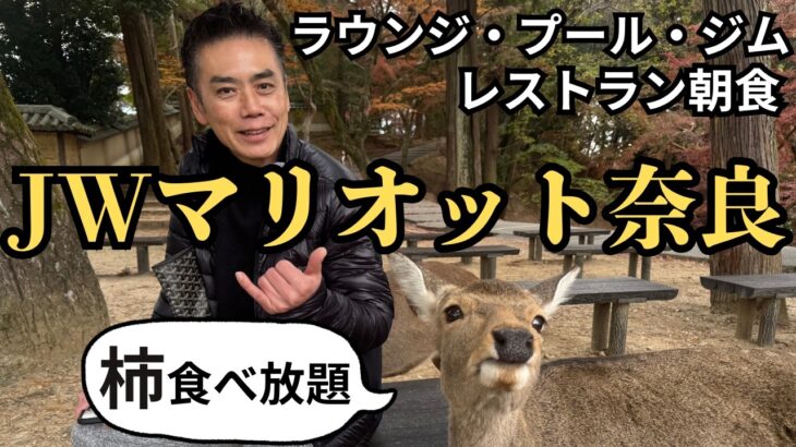 【3世代旅】満足する？レストラン課金するとどうなるの？ラウンジレビュー　1泊2日宿泊記