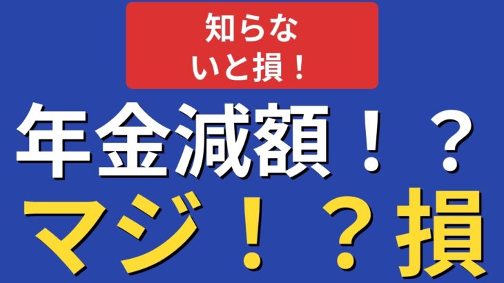 【#4】【暮らし】月18万円年金生活！67歳、質素でも笑顔で暮らすヒント