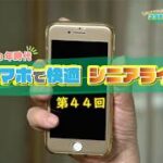 【第44回】最終回！番組の思い出と現在のスマホ生活
