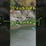 シニアのリゾートバイト、未経験者のためのリゾートバイト情報#リゾートバイト #交通費 #50代、60代#旅をしながら稼ぐ#住み込み #年金事務 #60歳代 #60歳代