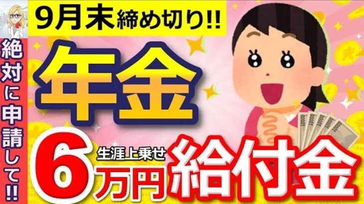 🪭【知らないと損！】申請で一生年金に6万円上乗せ！年金生活者支援給付金は今すぐ絶対に申請して！【老齢年金⧸遺族年金⧸障害年金】🪭
