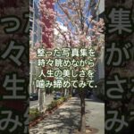 スマホ重くない？「写真」を消せば心も軽くなる #癒やし #雑学 #60歳代  #若い頃 #認知症予防 #断捨離