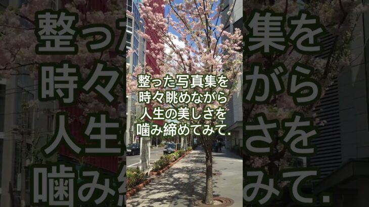 スマホ重くない？「写真」を消せば心も軽くなる #癒やし #雑学 #60歳代  #若い頃 #認知症予防 #断捨離