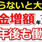 🪭【最新版】60歳以降働くと年金は増額します！年金額早見表と計算方法を紹介！【経過的加算・報酬比例部分・在職定時改定】🪭