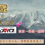 [シニアブログ]60歳、初めての東北旅(前編)/きゅんパス使ってお得旅行／1日目東京〜青森〜盛岡へ