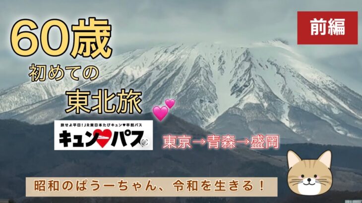 [シニアブログ]60歳、初めての東北旅(前編)/きゅんパス使ってお得旅行／1日目東京〜青森〜盛岡へ