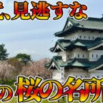 【保存版】まだ間に合う！60代が今年「絶対に行くべき」桜の聖地5選｜知らないと一生の後悔