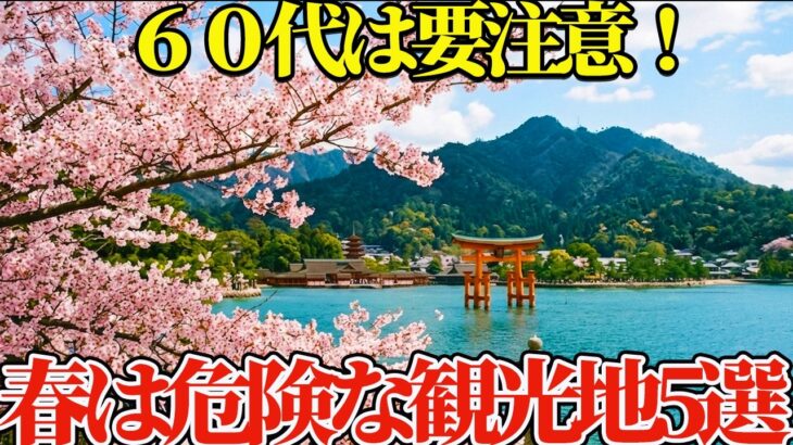 【要注意】60代女性が春旅行で後悔する観光地5選｜シニア旅行の失敗しない選び方