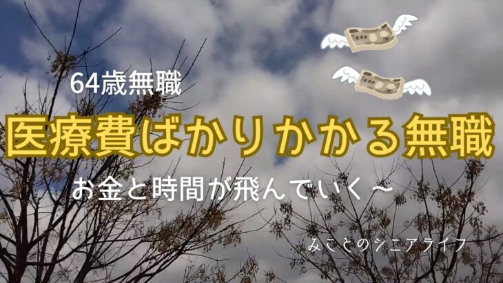 【60代姉弟二人暮らし】64歳無職／医療費ばかりかかる無職／お金と時間が飛んでいく～