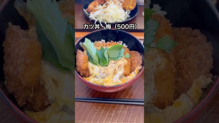 60代シニア夫婦の仙台食べ歩き！とんから亭・紫波町店#シニアライフ#仙台グルメ#夫婦暮らし#カツ丼#shorts