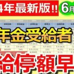 🪭【要確認！】6月14日支給分から年金減額の基準額が改定！支給停止額がひと目でわかる早見表も紹介！【在職老齢年金】🪭