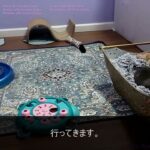 61歳、過酷な再雇用と年金の現実。心身を壊しても働き続けた父の末路…高齢社会の闇…【シニアライフ】【60代以上の方へ】