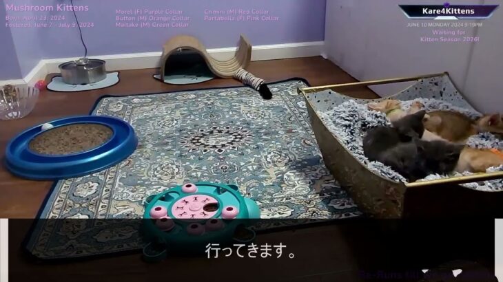 61歳、過酷な再雇用と年金の現実。心身を壊しても働き続けた父の末路…高齢社会の闇…【シニアライフ】【60代以上の方へ】