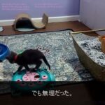 62歳で早期退職…年金「繰り上げ受給」を選んだ男が支払う致命的な代償。老後破産へ転落する残酷な現実【シニアライフ】【60代以上の方へ】