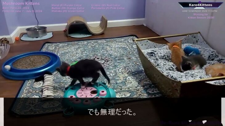 62歳で早期退職…年金「繰り上げ受給」を選んだ男が支払う致命的な代償。老後破産へ転落する残酷な現実【シニアライフ】【60代以上の方へ】