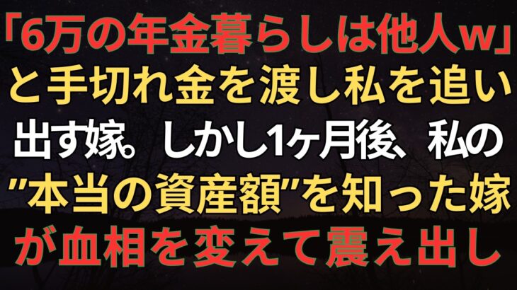 【シニアライフ】「6万の年金暮らしは他人w」と手切れ金を渡し私を追い出す嫁。しかし1ヶ月後、私の”本当の資産額”を知った嫁が血相を変えて震え出し…