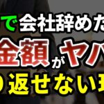 【年金の落とし穴】70歳を越えてから気づいても遅い…途中で会社を辞めた人の年金額がヤバすぎた［ 年金 老後 年金の現実 シニア 朗読 ］