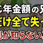 【老後破産】年金も退職金も同じだった兄弟。70歳を越えると弟だけが全てを失った残酷な理由 ［ 老後 年金 70代 体験談 老後資金 年金生活］
