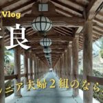 【70代主婦】シニア2組で奈良の旅②/長谷寺/石舞台古墳/飛鳥寺/橘寺/浄瑠璃寺/平城京跡/あいにくの大寒波の中の旅行となってしまい、寒すぎました。