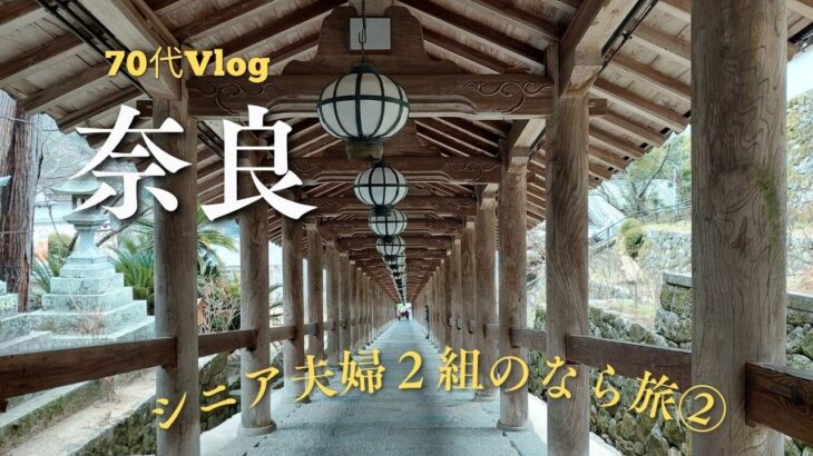 【70代主婦】シニア2組で奈良の旅②/長谷寺/石舞台古墳/飛鳥寺/橘寺/浄瑠璃寺/平城京跡/あいにくの大寒波の中の旅行となってしまい、寒すぎました。