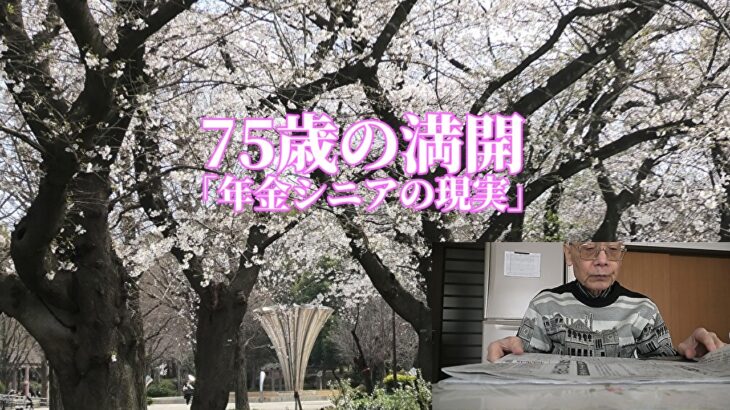 75歳の満開「年金シニアの現実」