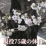 現役75歳の休日「現役年金シニアの現実」