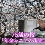 75歳の桜「年金シニアの現実」