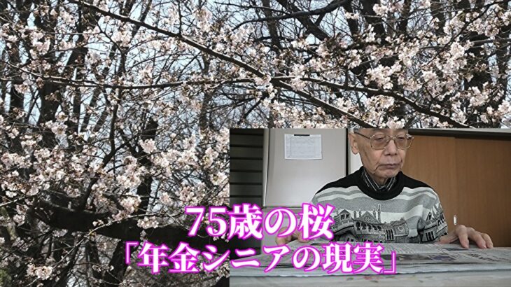 75歳の桜「年金シニアの現実」