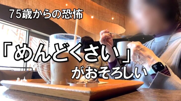 【75歳から始まりました】めんどくさいと思うこと　シニアVlog　お一人様年金生活