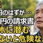 75歳年金暮らし、身に覚えのないクレジットカード請求80万円、カード情報を一度入力すると何が起こるのか？原因はまさかの…【シニア老後】