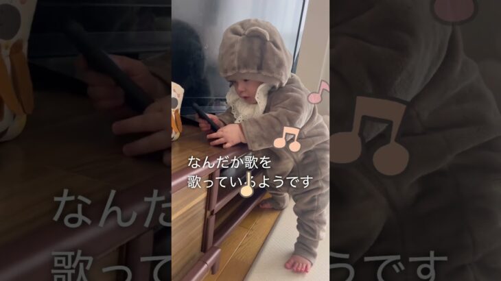 #あかちゃん #8ヵ月 #つかまり立ち#孫は可愛い #ノリノリ #可愛い赤ちゃん#シニアvlog