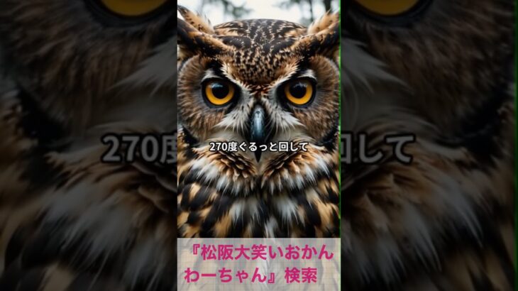 松阪市 シニア向けスマホ活用教室 AIが代わりに動きをつけてくれて楽しい #shorts