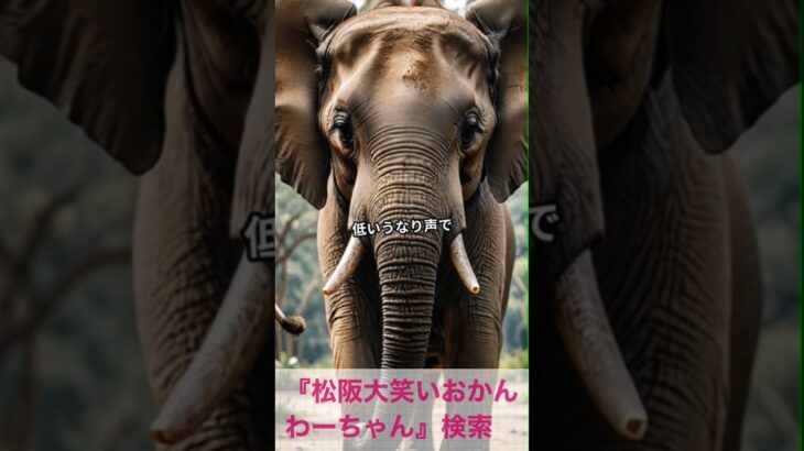 松阪市 シニア向けスマホ活用教室 AI雑学で毎日がちょっと知的な気分になる #shorts