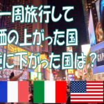 世界一周旅行最終日！ANAエコノミー14.5時間耐久フライト！良かった国、イマイチだった国発表！