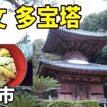 Countryside of Japan 【シニアの一人旅Vlog＠有田市】老舗の食堂で「太刀魚丼」を頂き、歴史ある神社仏閣をめぐる